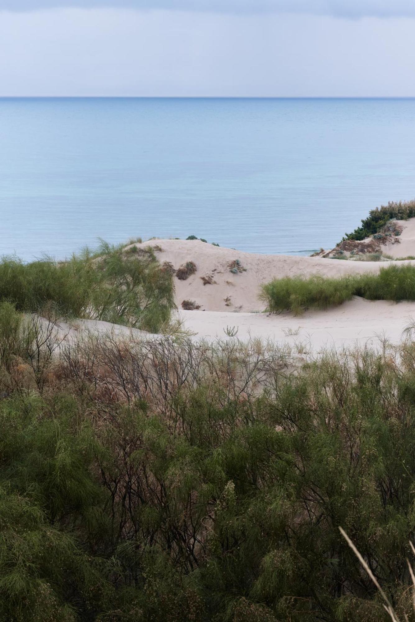 ホテル Taiga Tarifa Punta Paloma エクステリア 写真