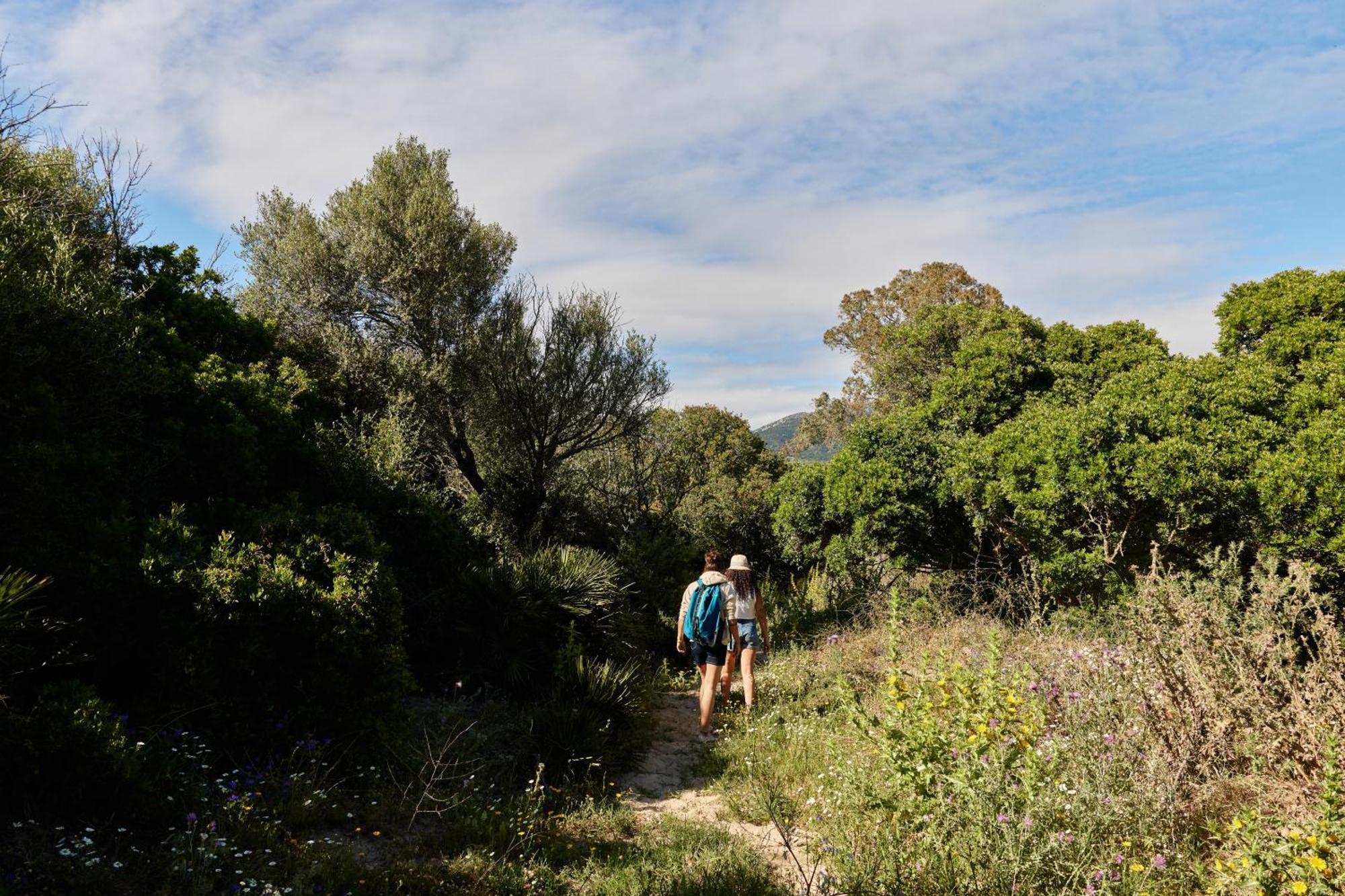 ホテル Taiga Tarifa Punta Paloma エクステリア 写真