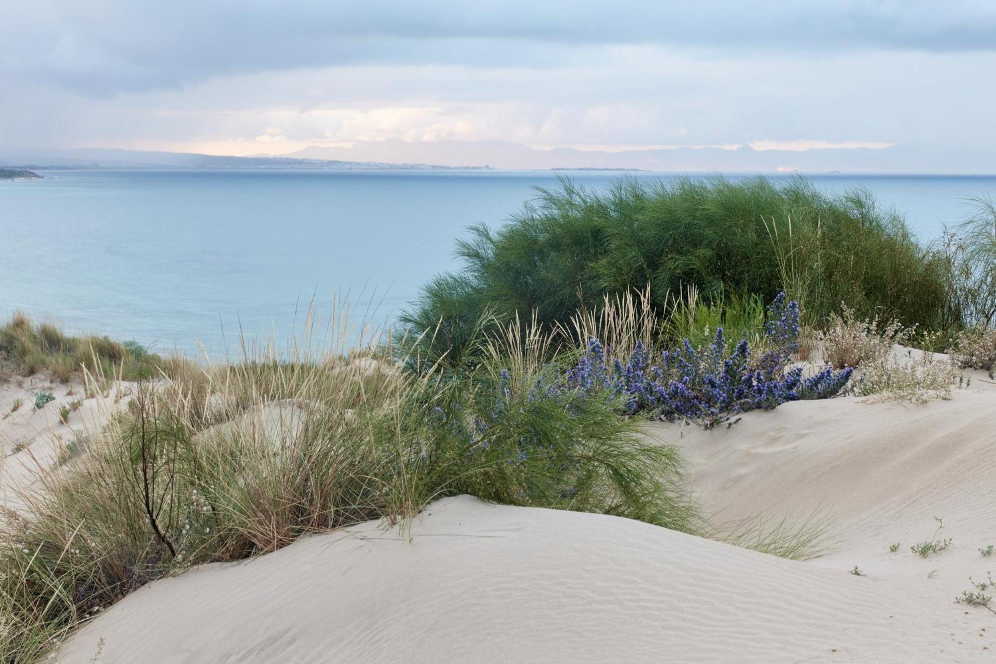 ホテル Taiga Tarifa Punta Paloma エクステリア 写真