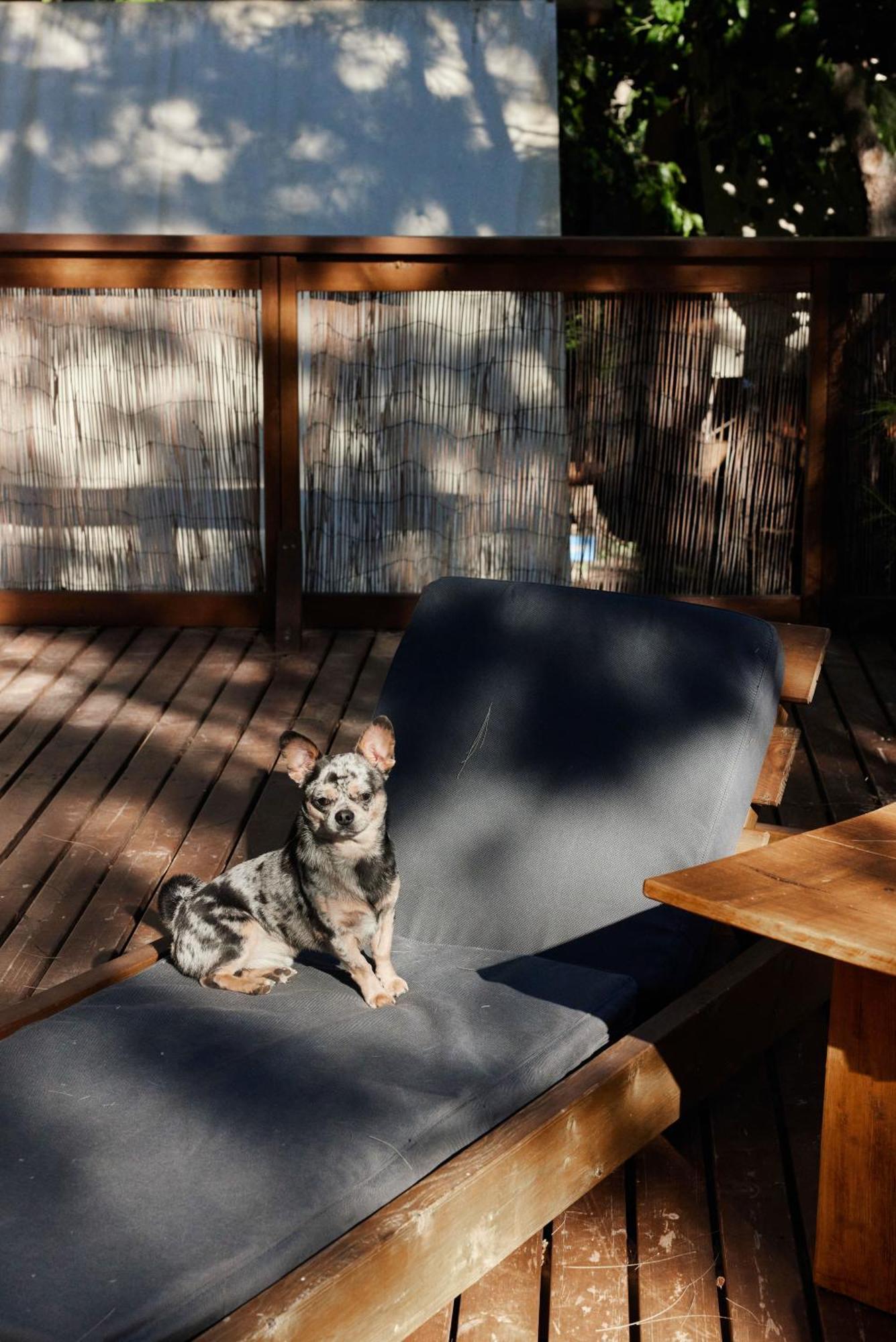 ホテル Taiga Tarifa Punta Paloma エクステリア 写真