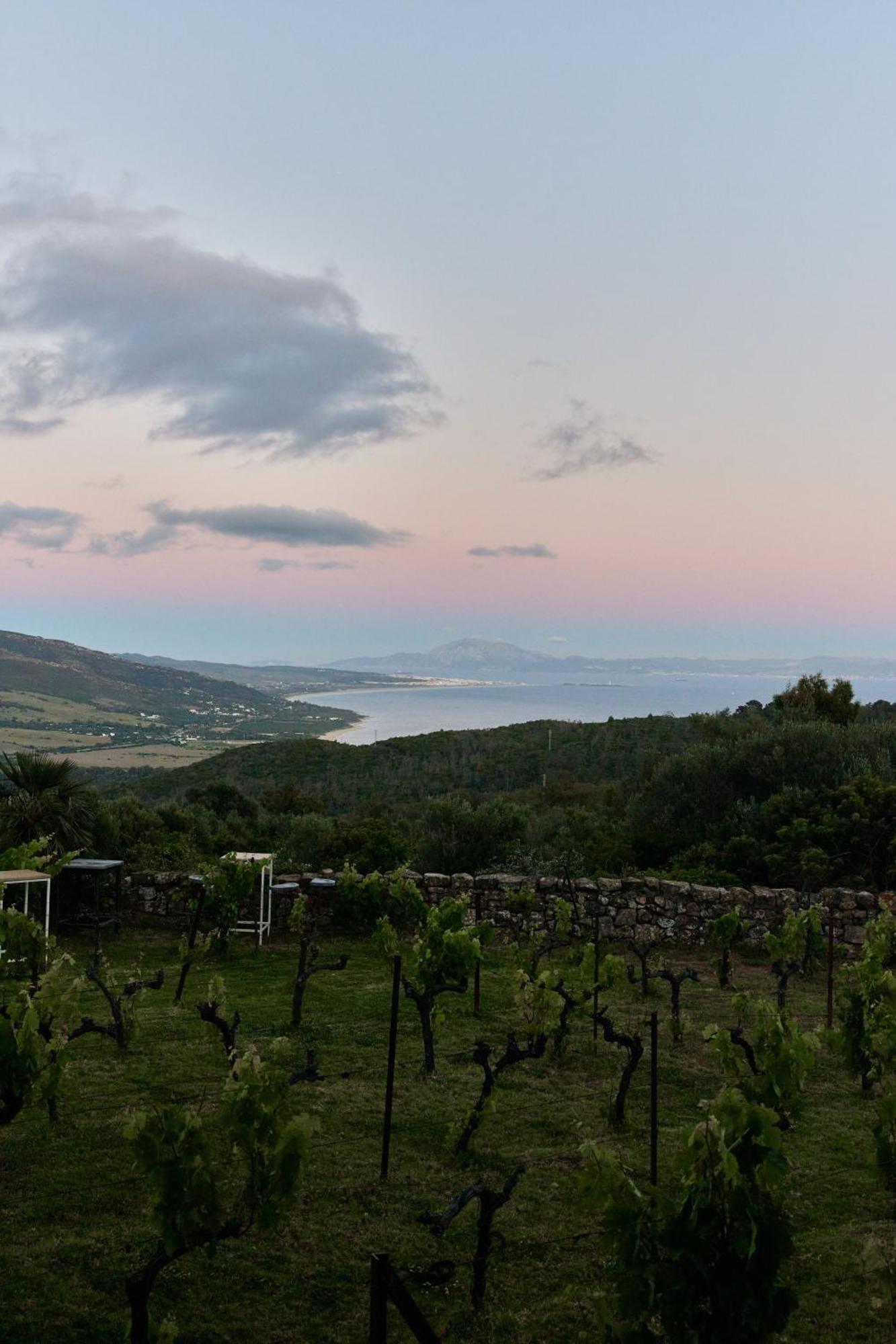 ホテル Taiga Tarifa Punta Paloma エクステリア 写真